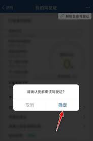 电子驾照获取随机数异常如何解决
