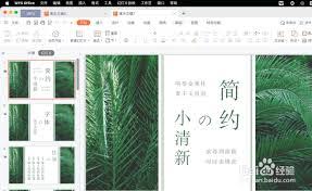 怎样把WPS网页版文档保存到本地