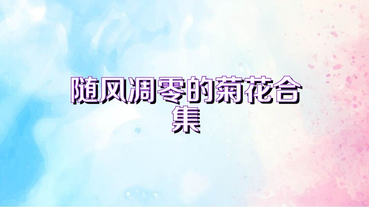 随风凋零的菊花合集