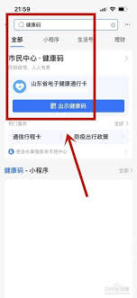 如何查询支付宝核酸码