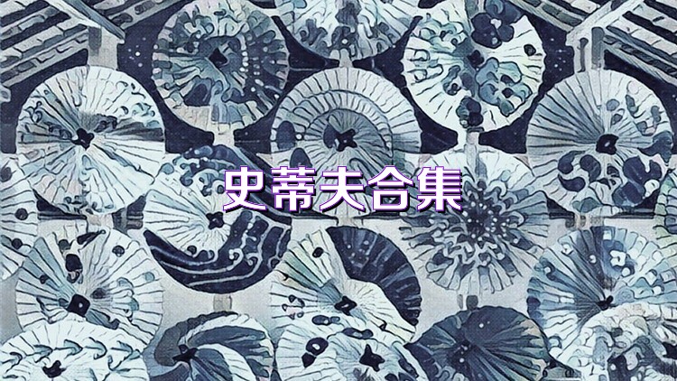 史蒂夫合集