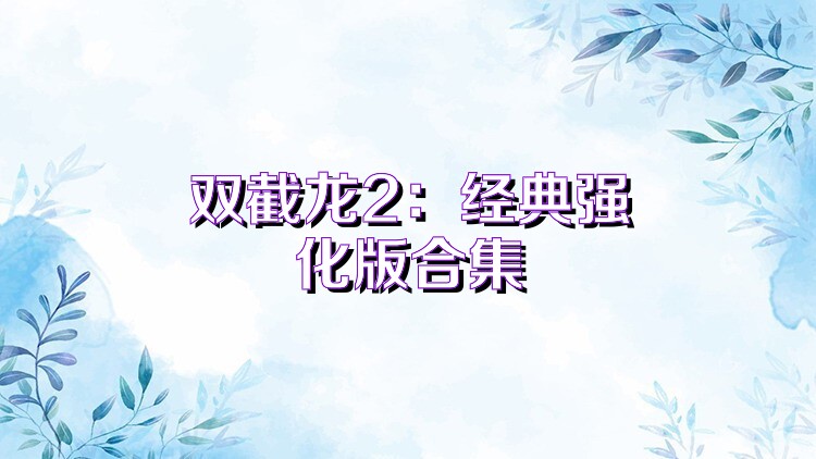 双截龙2：经典强化版合集