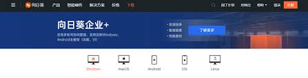 如何卸载向日葵远程控制
