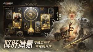 龙息神寂外域裂隙怎么玩