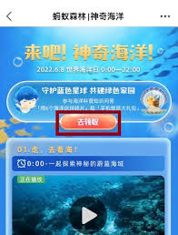 支付宝神奇海洋11.19答案是什么