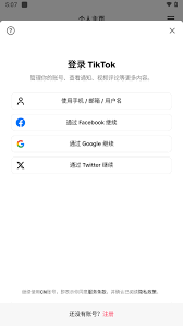 如何获取免费网页入口的tiktok轻量版