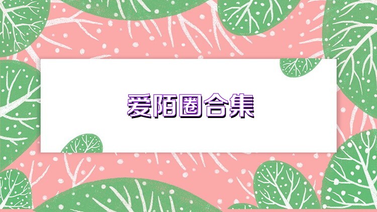 爱陌圈合集