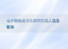 电子税务局怎么查询绑定企业