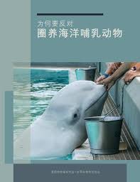 哪种海洋动物需要定时浮出水面换气