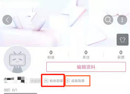 哔哩哔哩如何查看自己的勋章