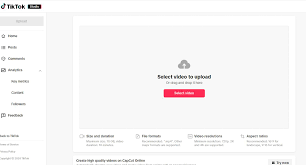 tiktok在线网页版网址是什么