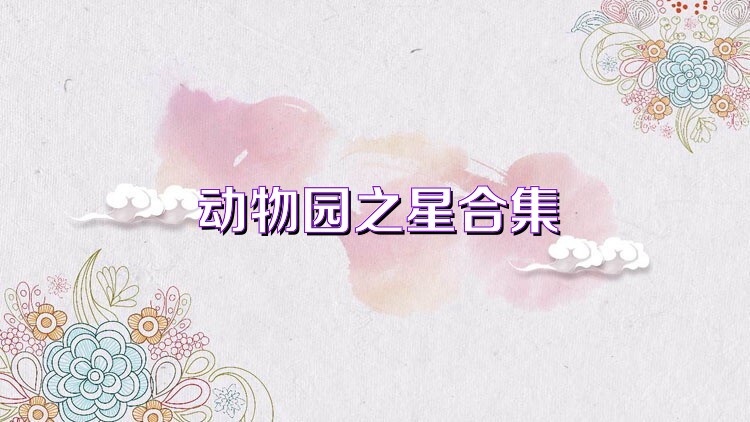 动物园之星合集