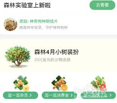支付宝蚂蚁森林如何领取桃树装扮