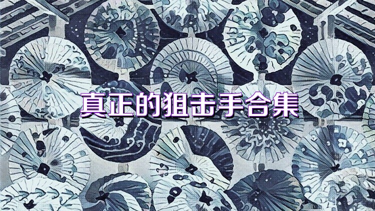 真正的狙击手合集