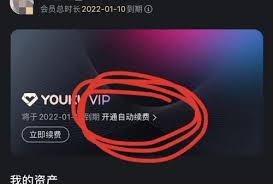 优酷自动续费如何关闭