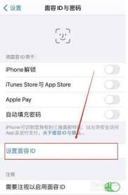 苹果面容 ID 可以设置几个