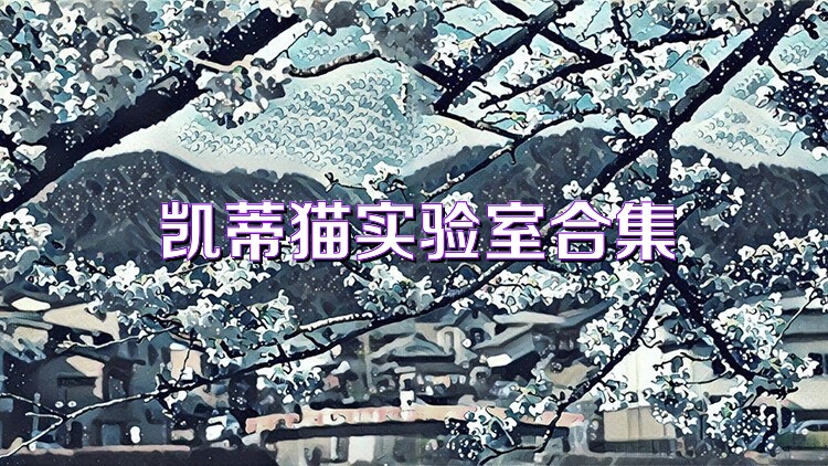 凯蒂猫实验室合集