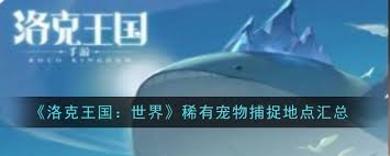 洛克王国世界稀有宠物在哪能找到