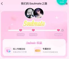 Soulmate空间能隐藏不让别人看吗