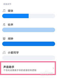 哔哩哔哩如何设置单独声音控制
