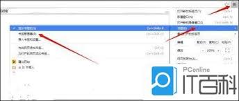 Google浏览器怎样收藏网址