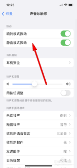 苹果13怎么关闭震动声音