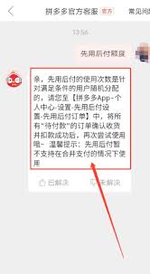拼多多如何查看先用后付额度
