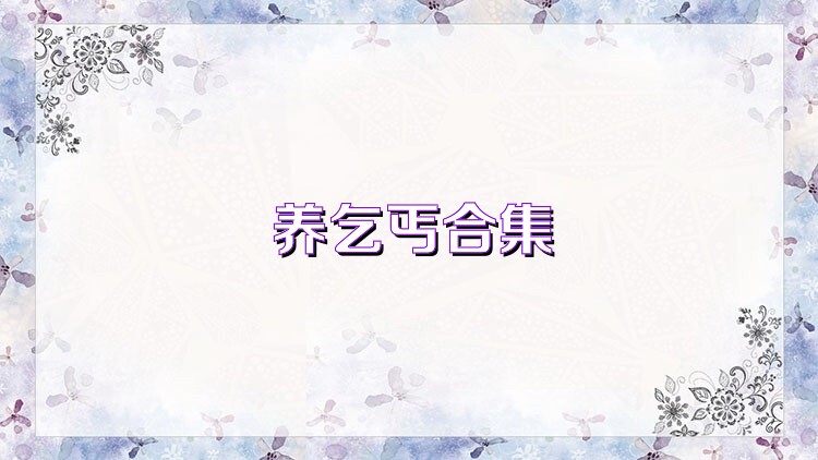 养乞丐合集