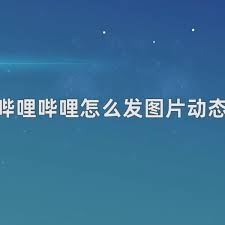 哔哩哔哩如何发动态