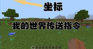 我的世界怎么输入传送坐标