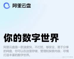 阿里云盘内测用户永久容量变公测后送会员如何处理