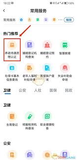 湘易办老年认证怎么办
