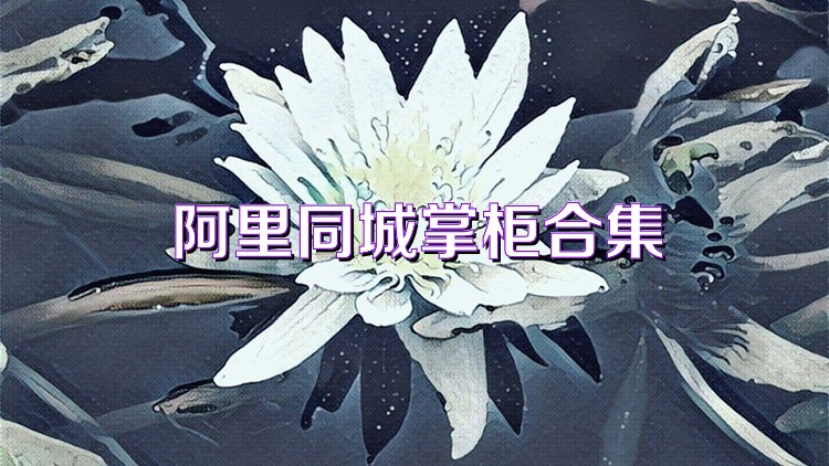 阿里同城掌柜合集