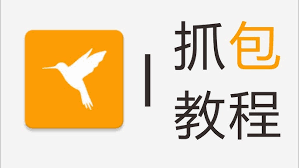 黄鸟抓包app如何使用