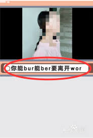 抖音过年了是什么意思