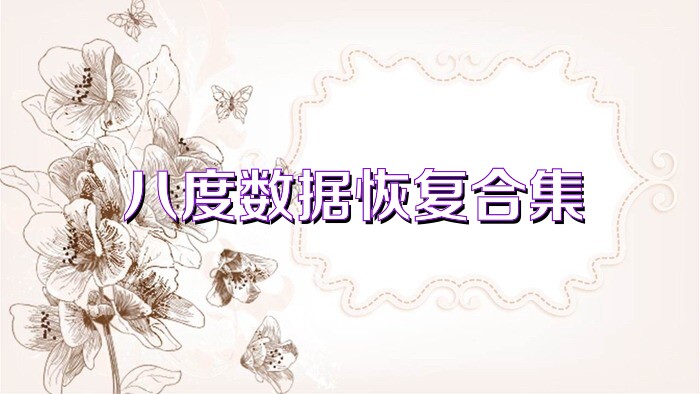 八度数据恢复合集