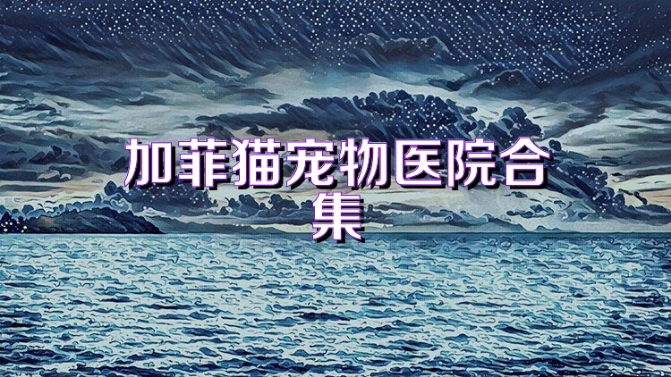 加菲猫宠物医院合集