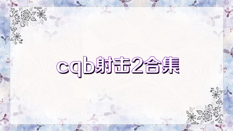 cqb射击2合集