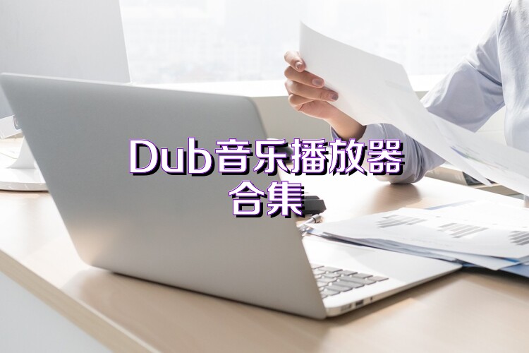 Dub音乐播放器合集