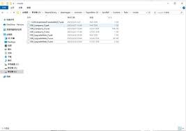 光与影33号远征队MOD怎么安装