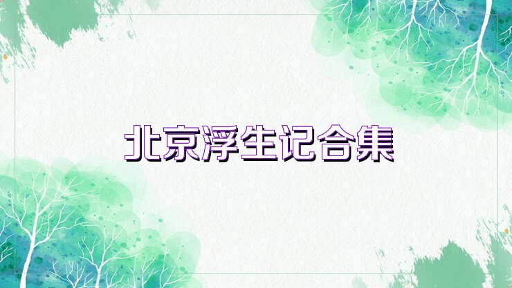 北京浮生记合集