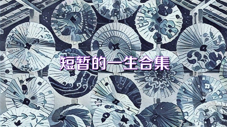 短暂的一生合集
