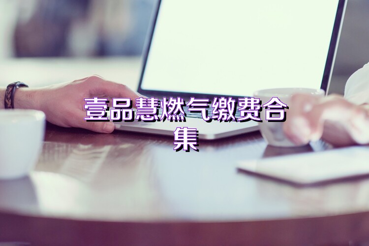 壹品慧燃气缴费合集