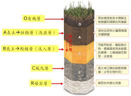 土壤为底图土层中心土层和什么