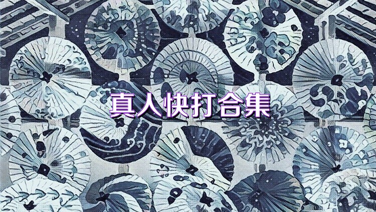 真人快打合集