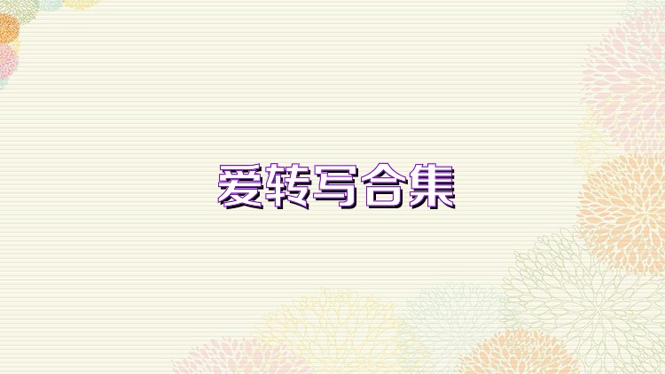 爱转写合集