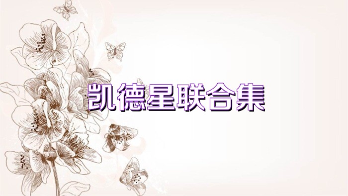 凯德星联合集