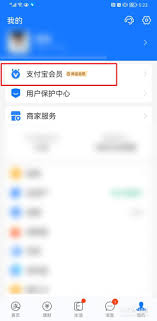 支付宝怎么查看家庭积分