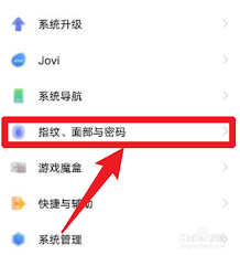 vivos12怎么使用隐藏图标功能