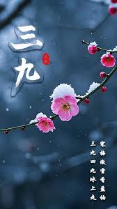数九寒天指的是冬天最冷的日子吗